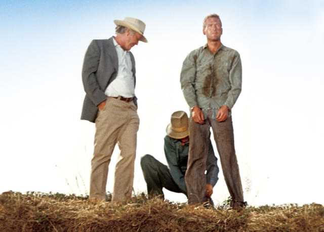 1月2日放送「暴力脱獄」より