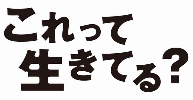 画像19