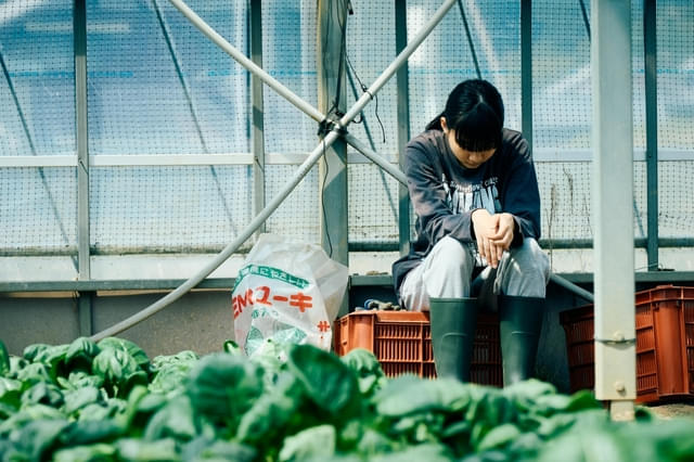 画像30