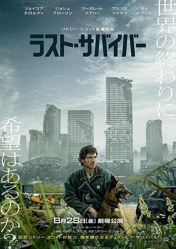 画像11