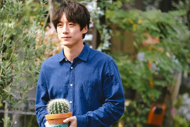 サボテンが物語のキーポイントに