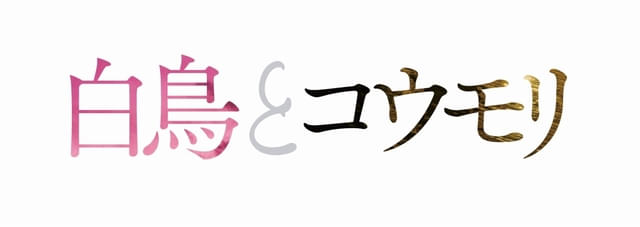 画像19