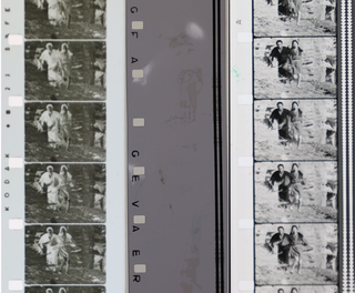 国立映画アーカイブ お仕事は「映画」です。のコラム