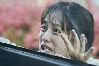 ミッシングの注目特集