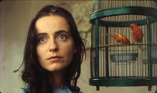 おすすめの新作映画をプロが紹介！の映画評論