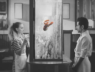 おすすめの新作映画をプロが紹介！の映画評論