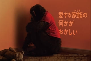 おさるのベンの注目特集