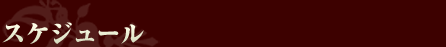 スケジュール
